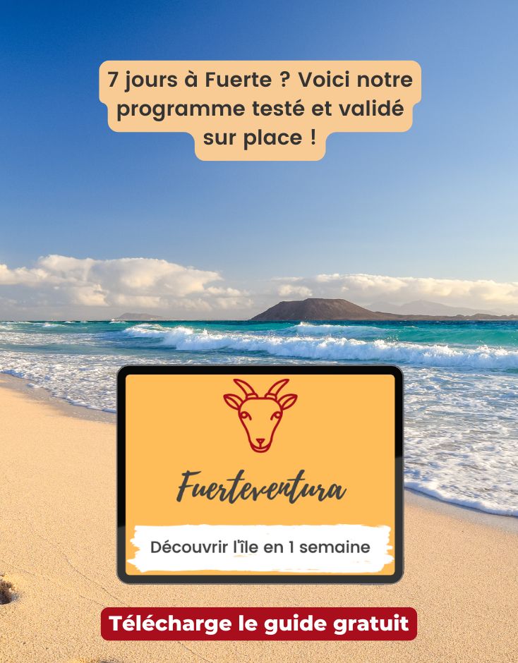 Guide Fuerteventura